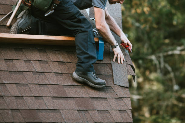 Best Roof Maintenance Services  in Carrollton, MO