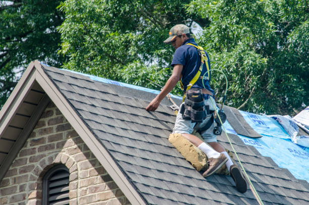 Best Residential Roofing Contractor  in Carrollton, MO